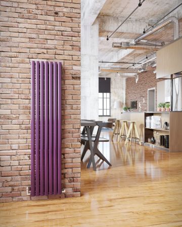 Ellipse radiator - 35% off RRP - with vertical bars